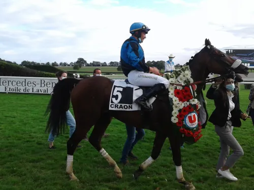 Hippisme : nos préférés pour ce dimanche 4 septembre